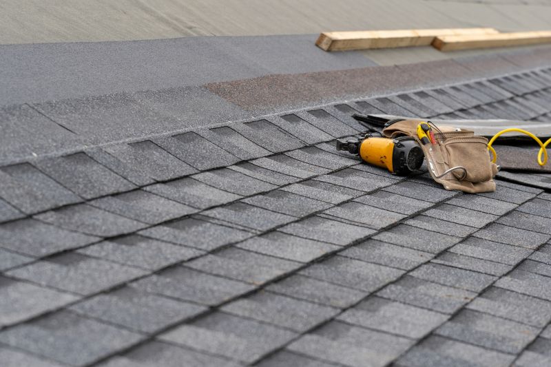 Asphalt Roof Repair
