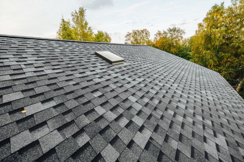 Roof Service