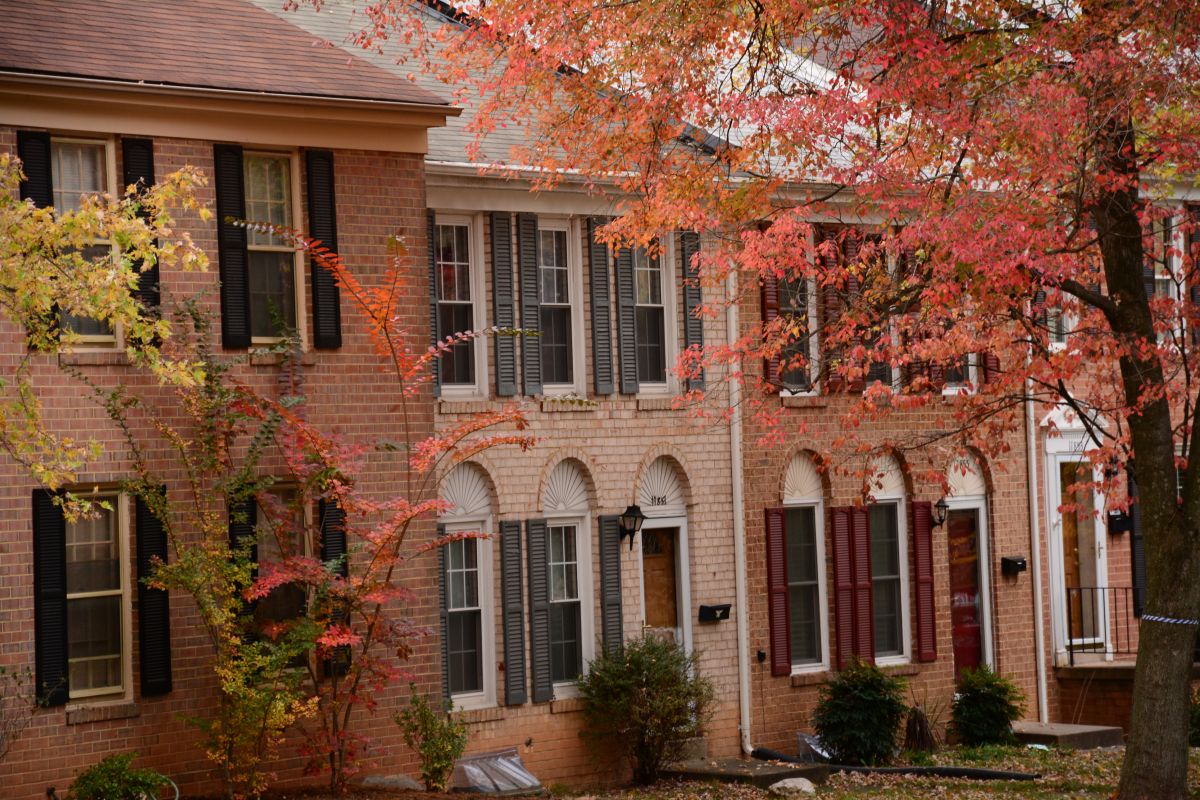 Cedar Shingles Replacement in Enfield, CT